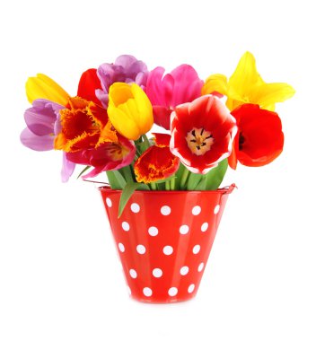 buket üzerinde beyaz izole güzel laleler