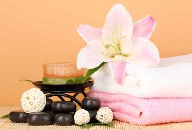 bej renkli arka plan üzerinde güzel spa ayarı