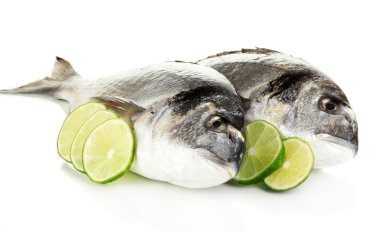 iki balık dorado limon ile üzerine beyaz izole.