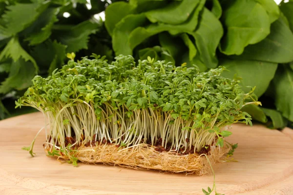 Fresh cress salad on wooden board — Stock Photo, Image