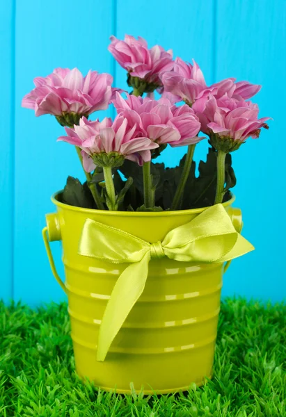 Schöner Strauß Chrysanthemen in einem hellen bunten Eimer auf blauem Zaunhintergrund — Stockfoto