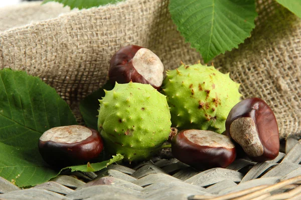 Chestnuts with leaves on burlap background — Stock Photo, Image