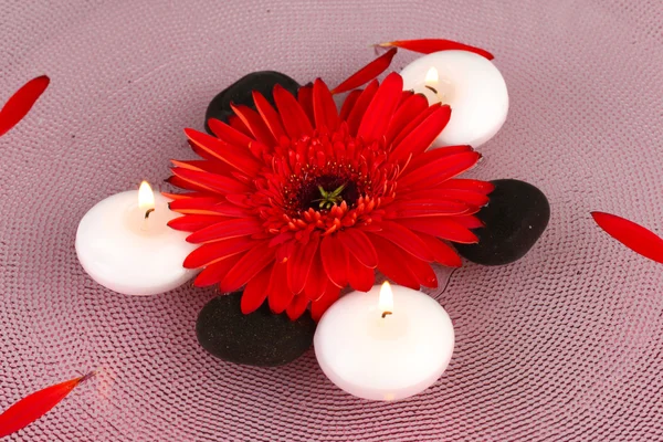 Wellness-Steine mit Blumen und Kerzen in Wasser auf Teller — Stockfoto