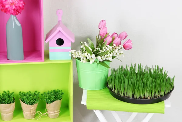 Scaffali colorati con elementi decorativi e piante in piedi in camera — Foto Stock