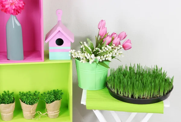 Colorful shelves with decorative elements and plants standing in room — Stock Photo, Image