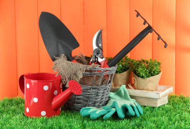 bahçede çimlerin üzerine Bahçe aletleri