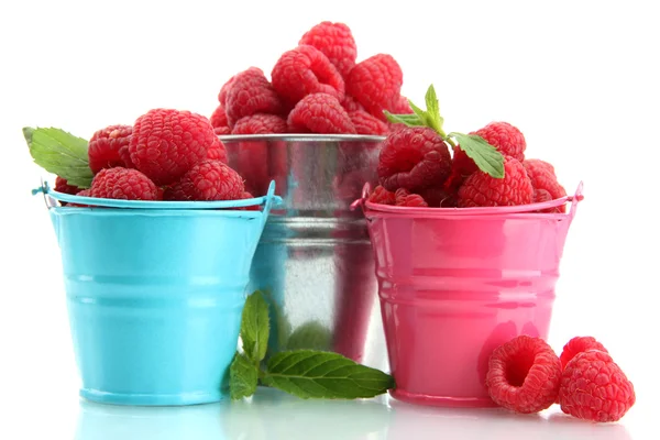 Beautiful raspberries in buckets isolated on white — Stock Photo, Image