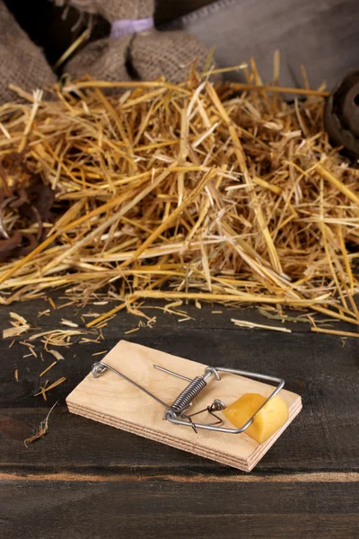 用一块奶酪特写在木制背景上的谷仓里的捕鼠器 — 图库照片