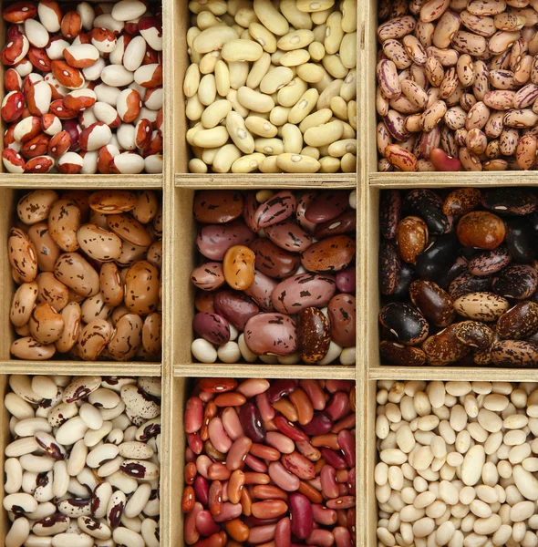 Diverse beans in wooden box sections isolated on white — Stock Photo, Image