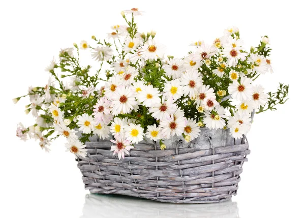 Beautiful bouquet of white flowers in basket isolated on white — Stock Photo, Image