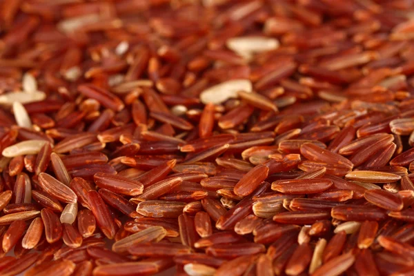Antecedentes arroz rojo —  Fotos de Stock