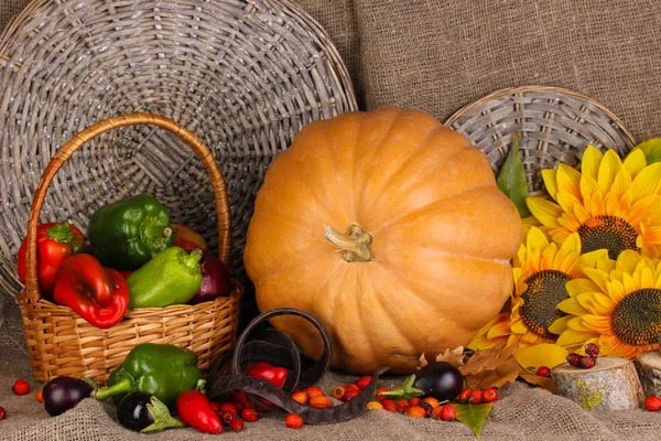 Uitstekende Herfst Stilleven met pompoen op plundering — Stockfoto