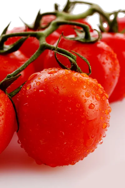 Tomates cerises sur une branche avec des gouttes isolées sur blanc — Photo