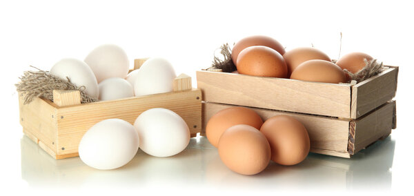 Many eggs in boxes isolated on white