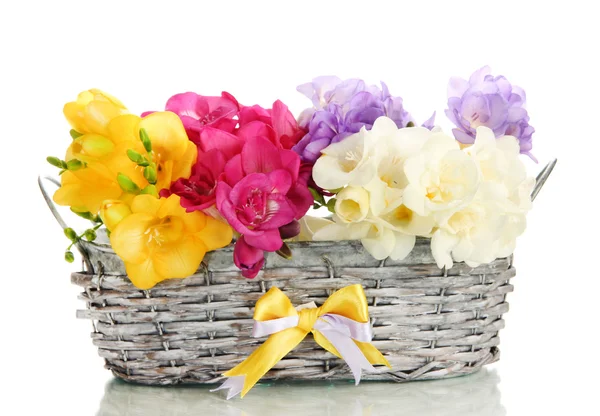 Beautiful bouquet of freesias in basket, isolated on white — Stock Photo, Image