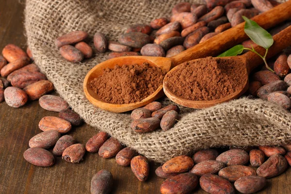 Poudre de cacao dans des cuillères et fèves de cacao sur fond en bois — Photo