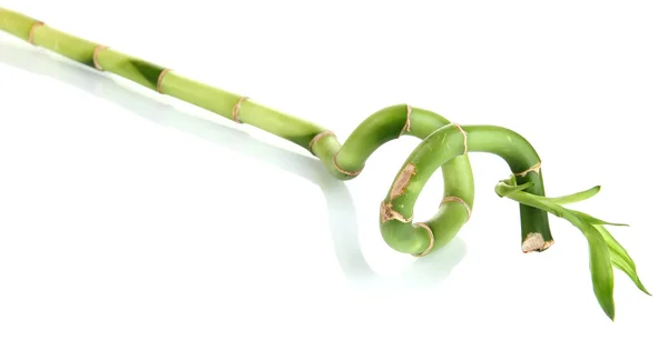 Beautiful green bamboo isolated on white — Stock Photo, Image