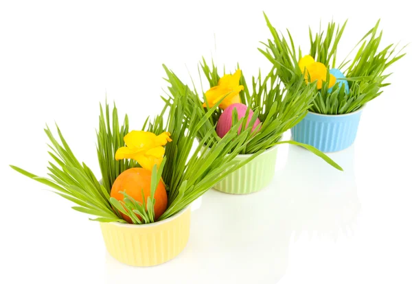 Huevos de Pascua en cuencos con hierba sobre mesa aislados sobre blanco — Foto de Stock