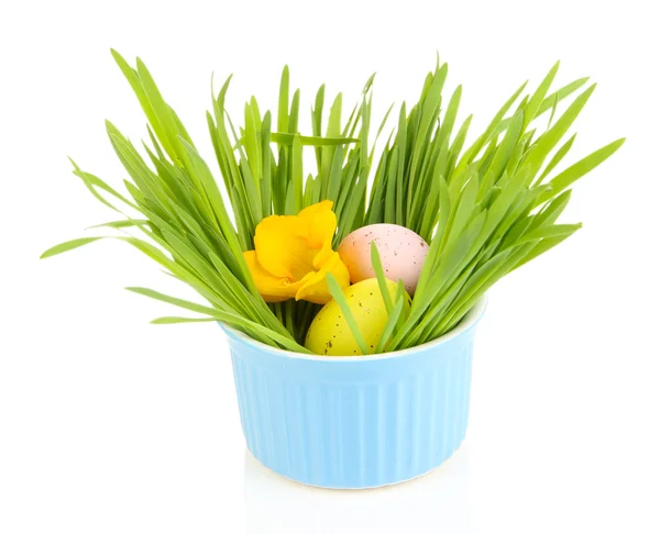 Huevo de Pascua en tazón con hierba sobre mesa aislado sobre blanco —  Fotos de Stock