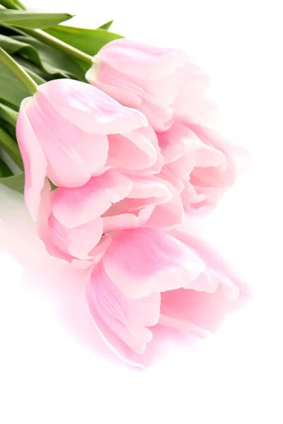 Mooi boeket van roze tulpen, geïsoleerd op wit — Stockfoto