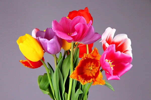 Krásné tulipány v kytici na šedém pozadí — Stock fotografie