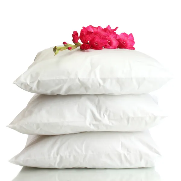 Almohadas y flores, aisladas en blanco — Foto de Stock