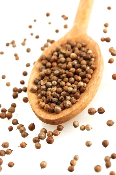 Montón de semillas de cilantro en cuchara de madera sobre fondo blanco de cerca — Foto de Stock