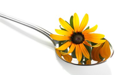 kaşık ve çiçek, üzerinde beyaz izole