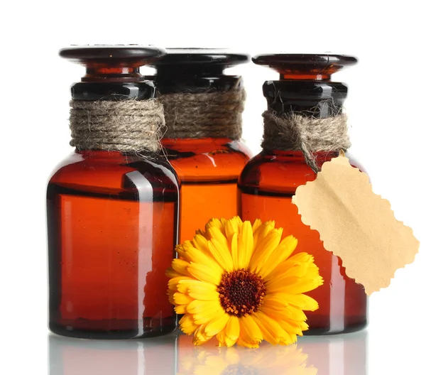 Medicin flaskor och vackra calendula blomma, isolerad på vit — Stockfoto