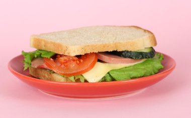 plaka üzerinde pembe bir arka plan üzerinde sandviç