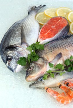 buz üstünde taze deniz ürünleri