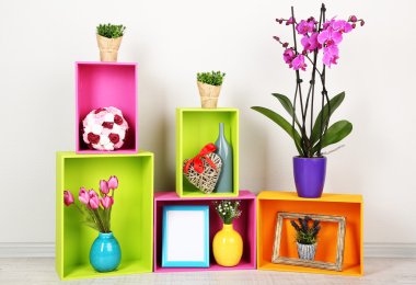 güzel renkli raflara farklı ev ilgili nesneleri