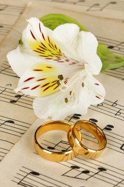 Treble clef, flower and wedding rings on musical background
