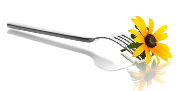 Fork and flower, isolated on white — Stock Photo, Image