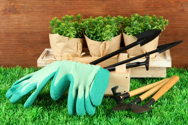 Attrezzi da giardino su erba in iarda — Foto Stock