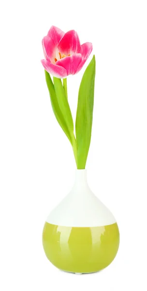 Pink tulip in bright vase, isolated on white — Stock Photo, Image