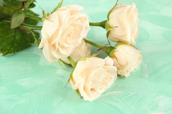 Schöne cremige Rosen in Nahaufnahme, auf farbigem Hintergrund — Stockfoto