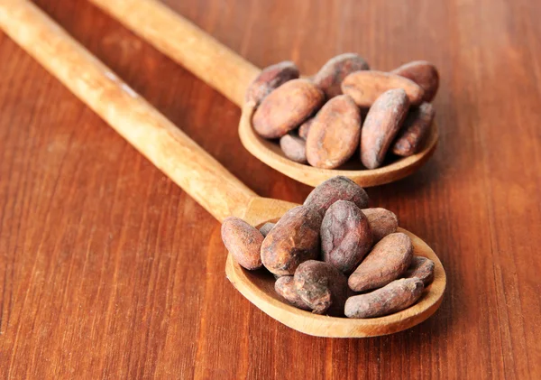 Fagioli di cacao in cucchiai su sfondo di legno — Foto Stock