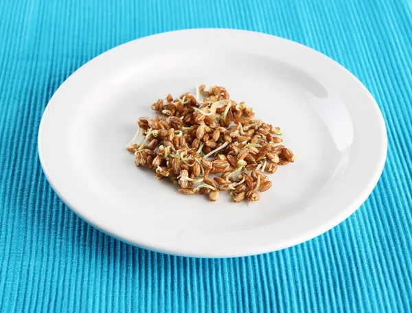 Wheat germs on plate, close up — Stock Photo, Image