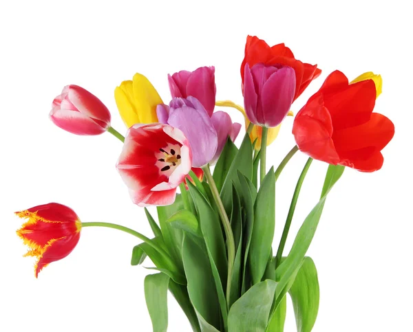 Beautiful tulips in bouquet isolated on white — Stock Photo, Image