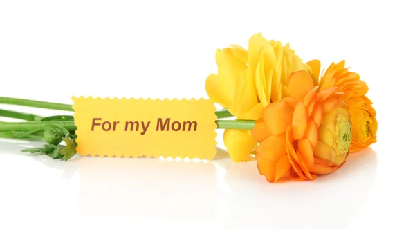 Ranunculus (Περσικά buttercups) για την ημέρα της μητέρας, που απομονώνονται σε λευκό — Φωτογραφία Αρχείου