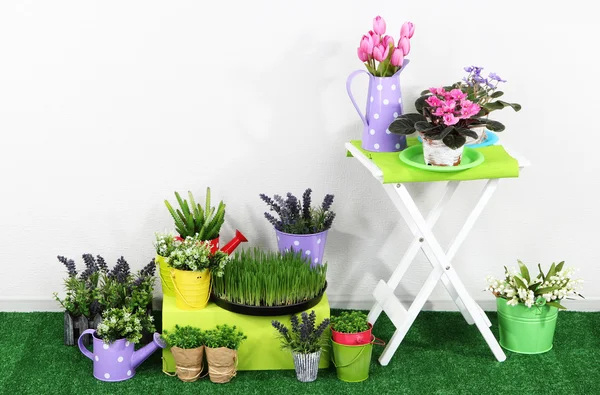 Färg låda och bord med dekorativa element och blommor står på gräs — Stockfoto