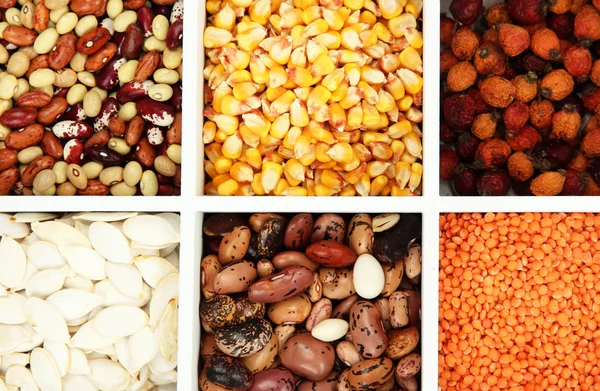 Assortment of chestnut,beans — Stock Photo, Image