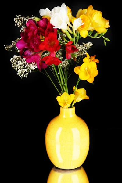 Beautiful bouquet of freesia in vase isolated on black — Stock Photo, Image