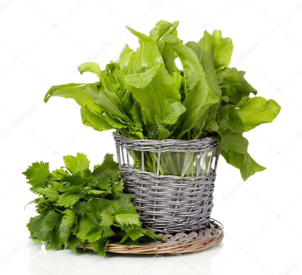 Fresh herbs in wooden pot isolated on white