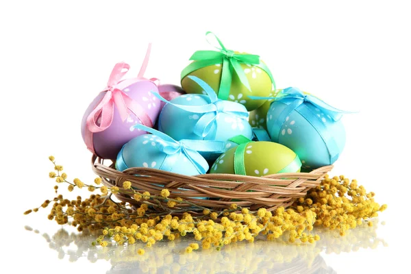 Paskalya yumurtaları üzerine beyaz izole, sepet ve Mimoza çıtır — Stok fotoğraf
