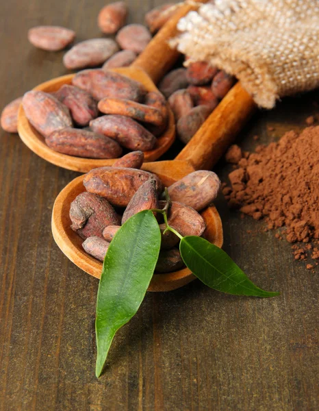 Haricots de cacao dans des cuillères et poudre de cacao sur fond en bois — Photo