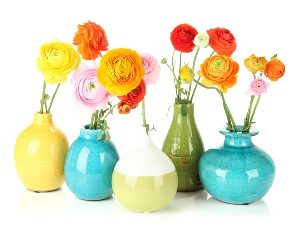 Ranunculus (persian buttercups) in vases, isolated on white — Stock Photo, Image