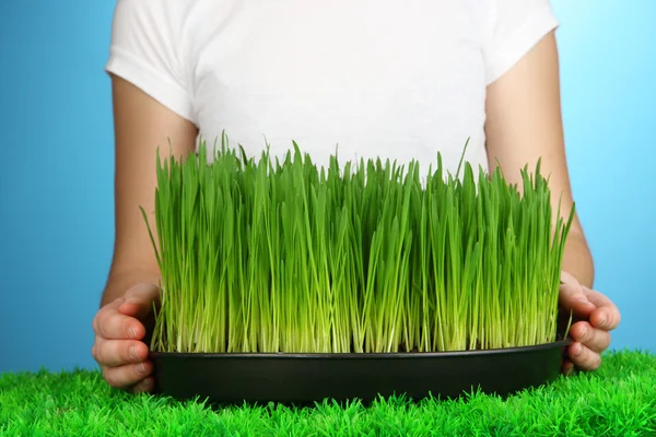 Handen houden groeiend gras op blauwe achtergrond — Stockfoto