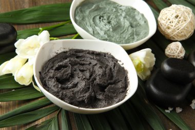 palmiye yaprak zemin üzerine spa uygulamaları için kozmetik kil ile kompozisyon